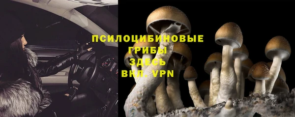 соль курить ск Вязьма