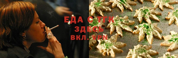тгк Володарск