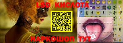 молекула духа Шебекино