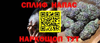 молекула духа Шебекино