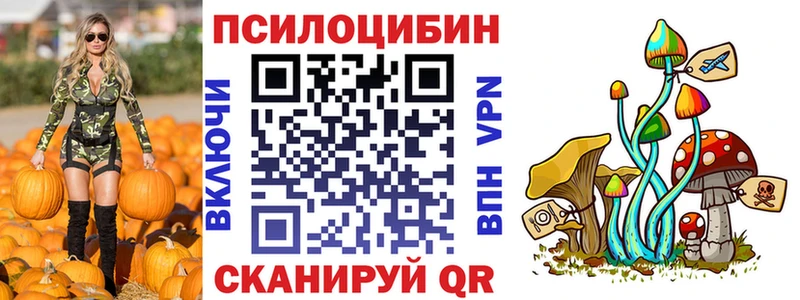 Псилоцибиновые грибы Psilocybe  Снежинск 
