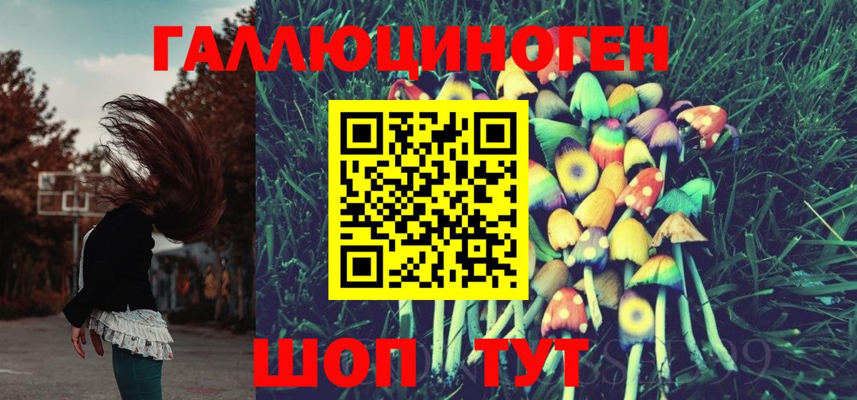 Галлюциногенные грибы Psilocybe  Вход с VPN  Снежинск 